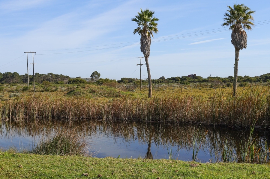 0 Bedroom Property for Sale in Kromme River Estate Eastern Cape